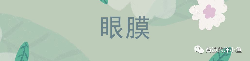 思妍丽用的护肤牌子好吗_思妍丽什么档次_思妍丽这个牌子怎么样